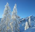 Blick auf die Alpspitze im Winter